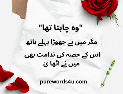 “وہ چاہتا تھا”مگر میں نے چھوڑا پہلے باتھ، اس کے حصے کی ندامت بھی میں نے اٹھا لی۔