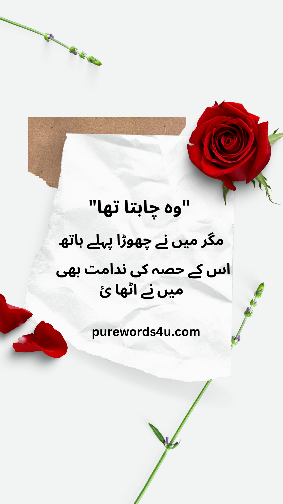 "وہ چاہتا تھا"مگر میں نے چھوڑا پہلے باتھ، اس کے حصے کی ندامت بھی میں نے اٹھا لی۔